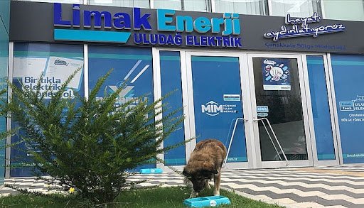 Limak Enerji'nin Pembe Fatura Projesi'ne ödül